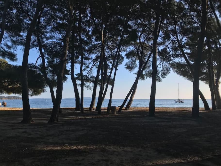 Appartement Plage Piscine Et Tennis Inclus La Londe-les-Maures Exterior foto